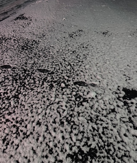 新入生　ゆい　【盛岡校】のブログ写真