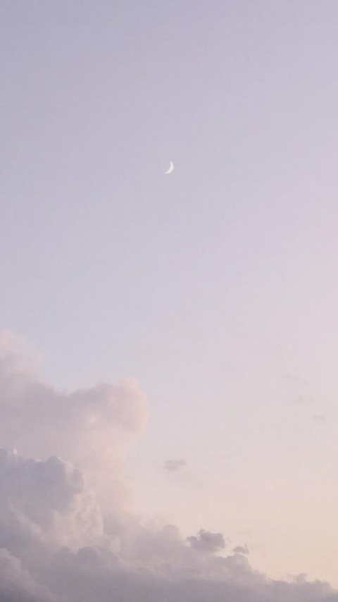 アユ(盛岡)のブログ写真