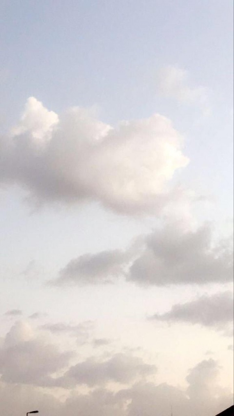 アユ(盛岡)のブログ写真