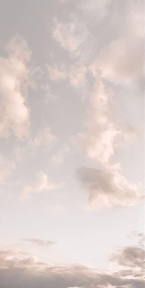 アユ(盛岡)のブログ写真