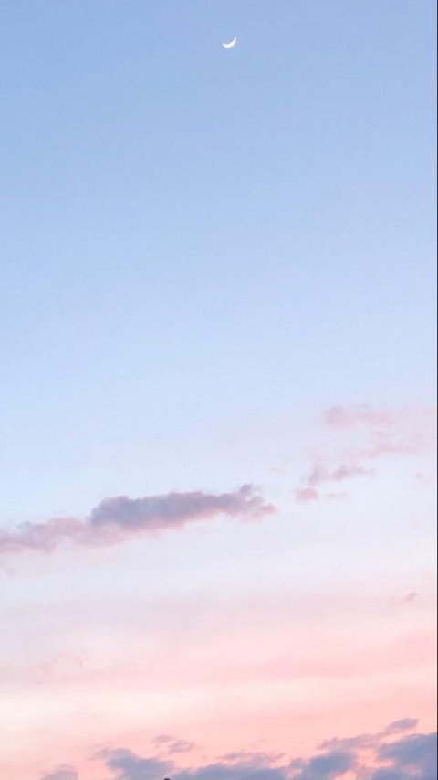 アユ(盛岡)のブログ写真