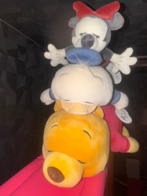 体験ミノリ(盛岡)のブログ写真