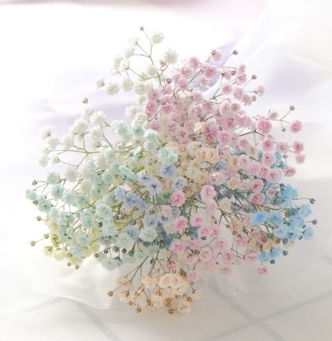 リル(盛岡)のブログ写真