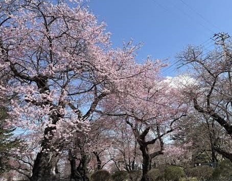 リル(盛岡)のブログ写真