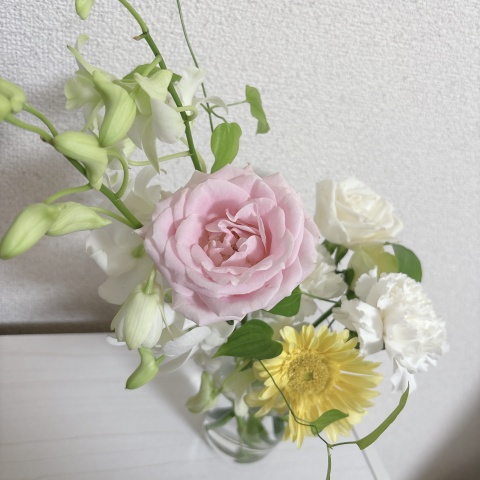 葉月-ハズキ-のブログ写真