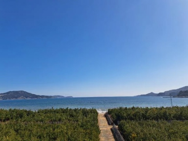 上原なるみのブログ写真