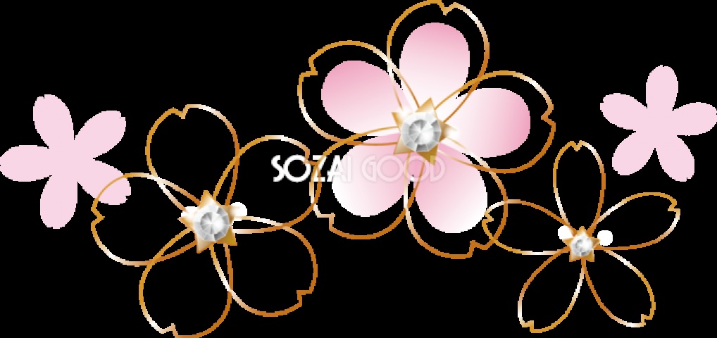 新人体験A(経験浅)のブログ写真