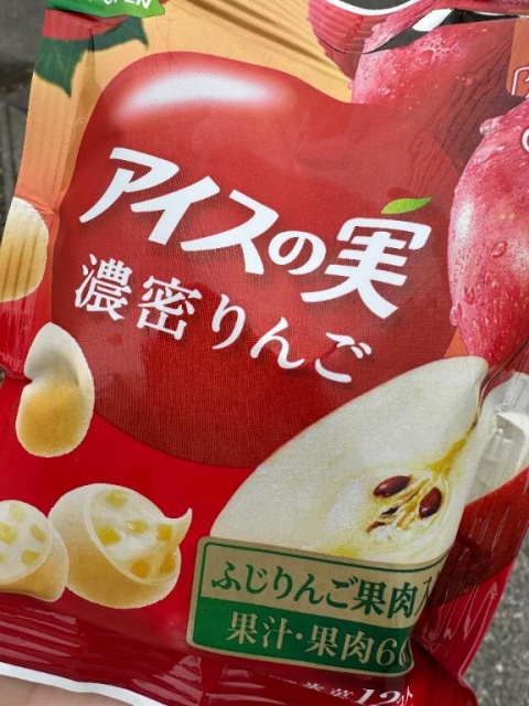 ナギのブログ写真