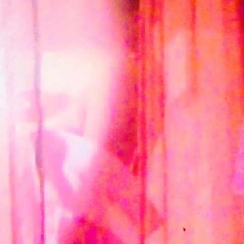 (盛)石井奈緒実のブログ写真